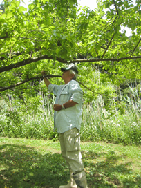 resipi-100624-3.jpg
