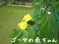 resipi-100715-5.jpg