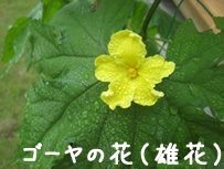 resipi-100715-6.jpg