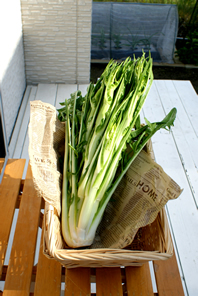 resipi-101202-3.jpg