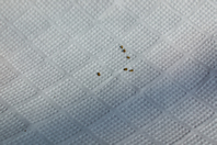 resipi-101202-6.jpg