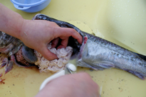 resipi-120216-2.jpg