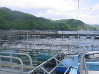 resipi-120503-2.jpg