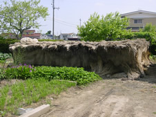 resipi_080602-3.jpg