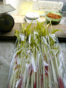 resipi_080602-5.jpg