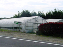 resipi_081106-8.jpg