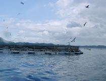 resipi_090604-2.jpg