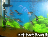 resipi_090604-6.jpg